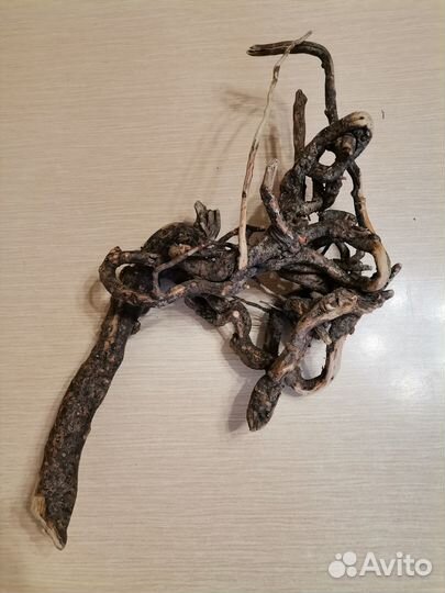 Коряги и камни