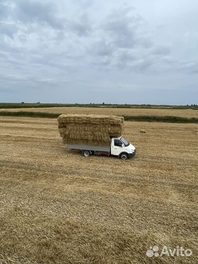 Солома в тюках