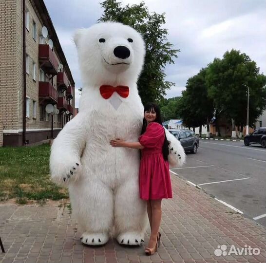 Белый мишка, Зайчики, Поздравление, Аниматор