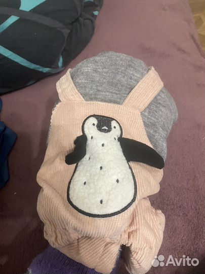 Комбинезон для маленькой собаки или кошки