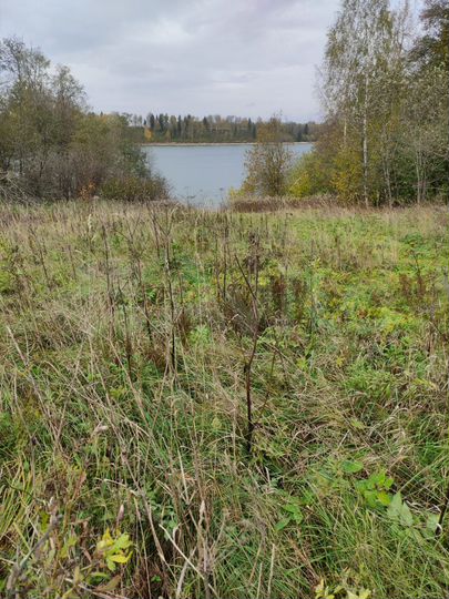 Участок 15 сот. (ИЖС)