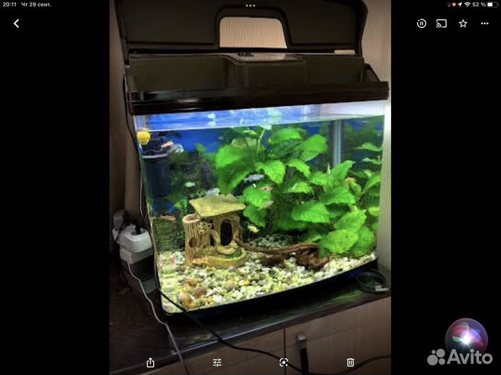 Аквариум