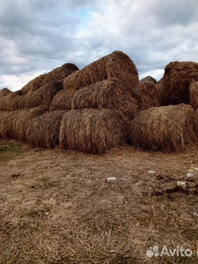 Солома в тюках