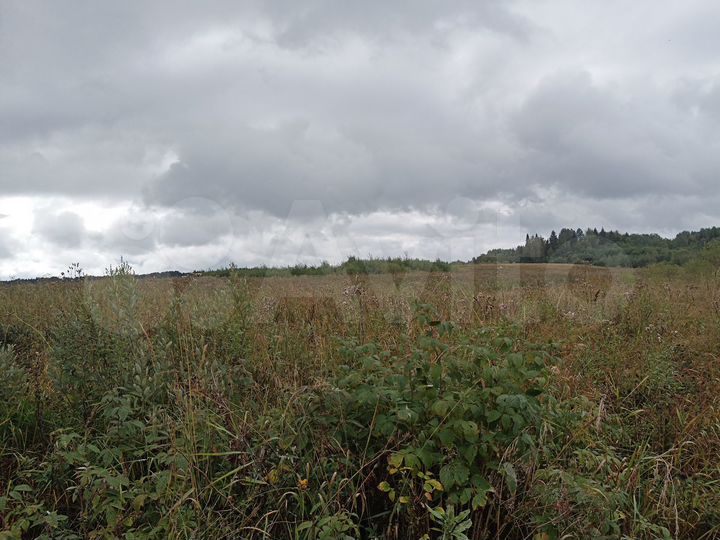 Участок 3,7 га (ИЖС)