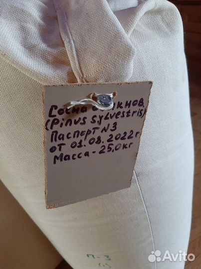 Семена ели на заказ