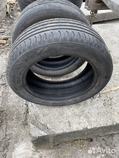 Nokian Tyres Nordman SX2 205/55 R16