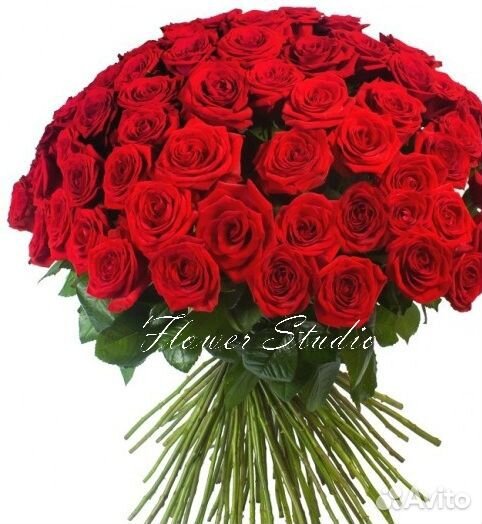 101 Роза 25 51 101 201 Роза