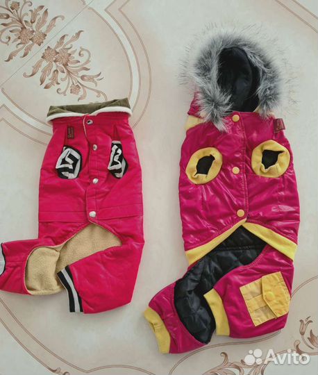 Одежда для собак