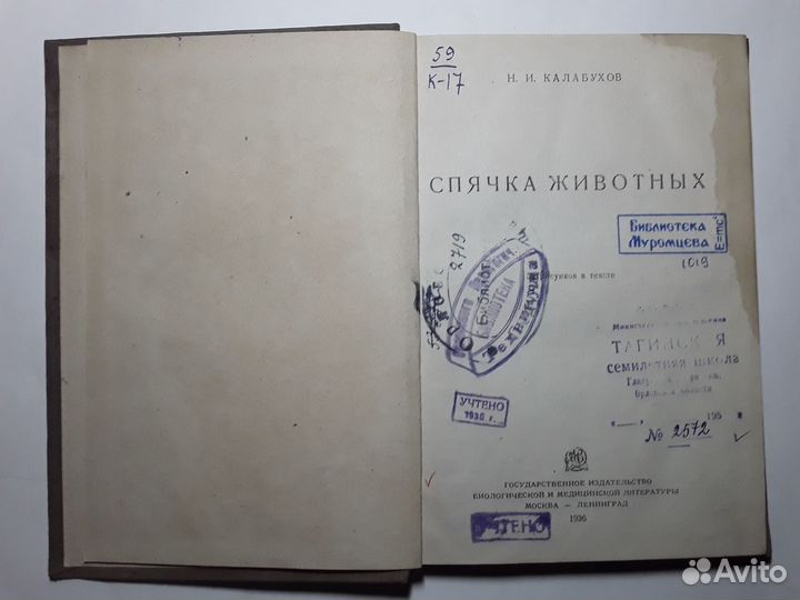 Спячка животных