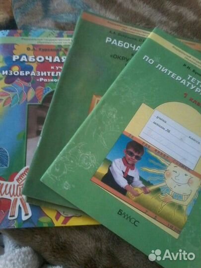 Рабочие тетради бунеевские школа 2100 1класс