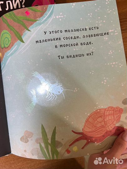 Книги с фонариком