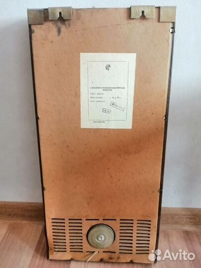 Сувенир-громкоговоритель юность