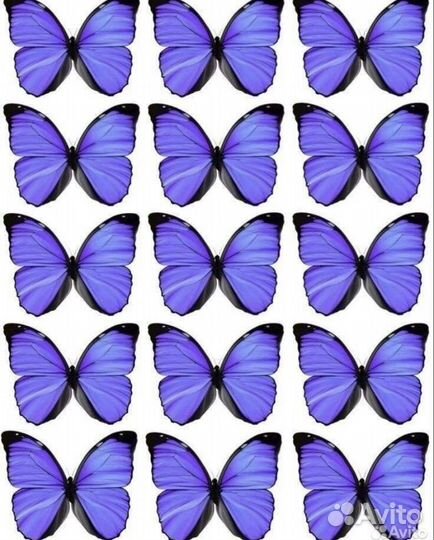 Букет из бабочек