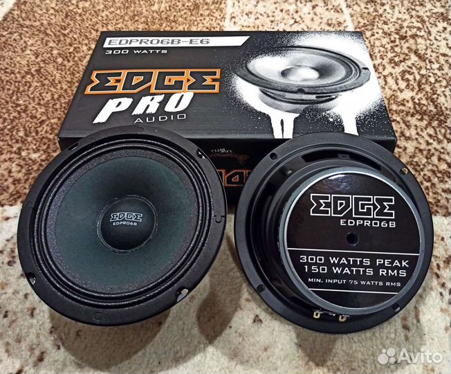 Динамики эстрадные новые