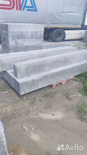 Перегородочная перемычка