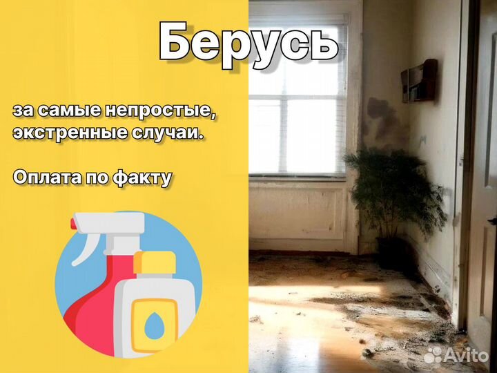 Уборка после пожара умерших потопа плесени