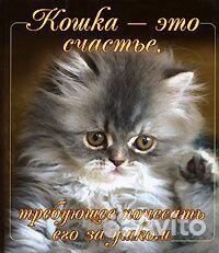 Здоровье, Увлечение, Астрология