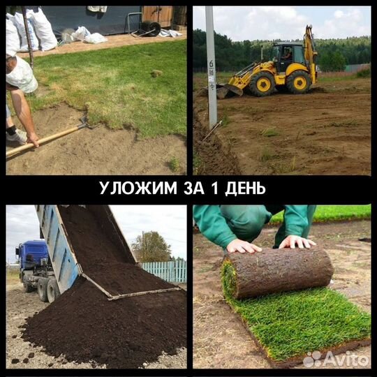 Лучший рулонный газон в Балашиху