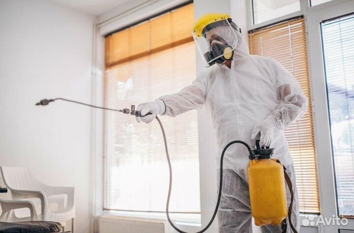 Средство для Уничтожения клопов, тараканов, крыс Дезинфекции