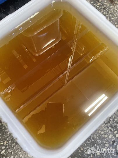 Мёд натуральный Майский. 2023г оптом