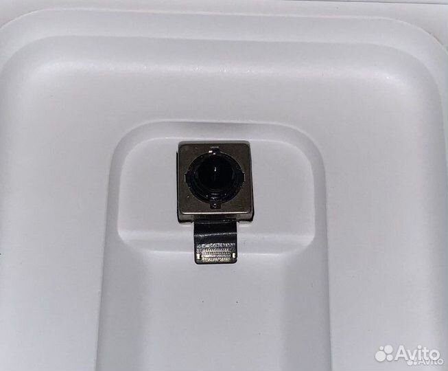Камера на iPhone XR