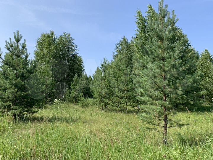 Участок 11 сот. (ИЖС)