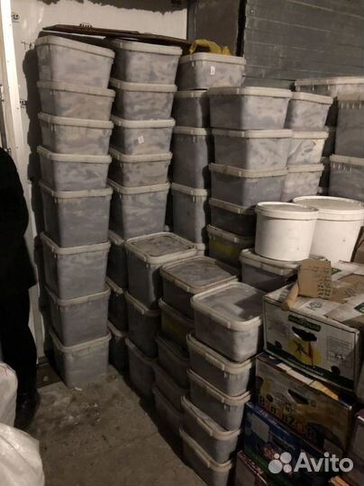 Хариус северный малосольный