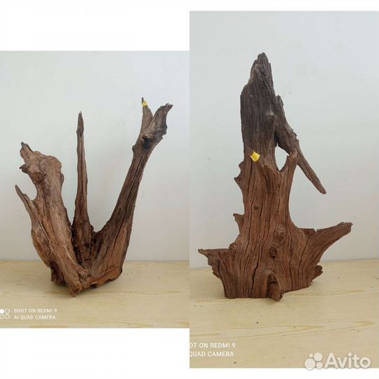 Дубовые коряги для аквариума