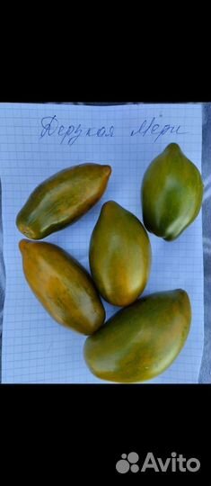 Томаты редкие сорта