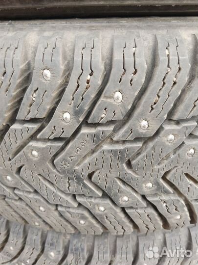 Nokian Tyres Hakkapeliitta 8 205/65 R15
