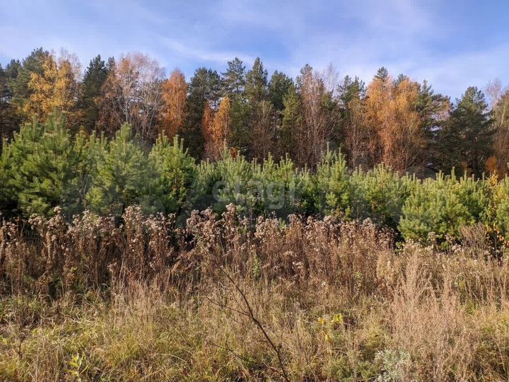 Участок 11,5 сот. (ИЖС)