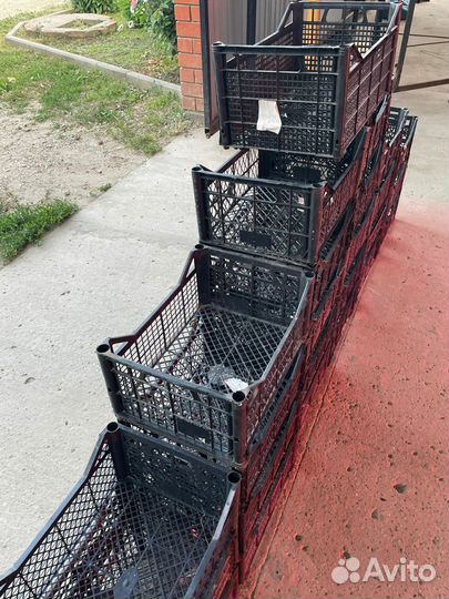 Пластиковые ящики бу