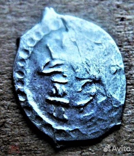 Чешуя снвк Даниил Борисович удушение зверя