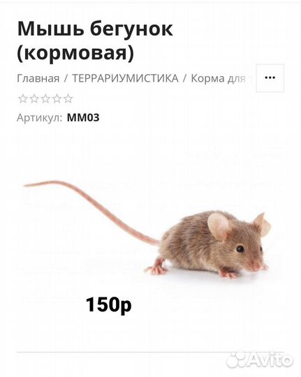 Кормовые насекомые