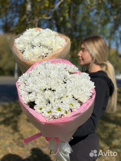 Белая хризантема