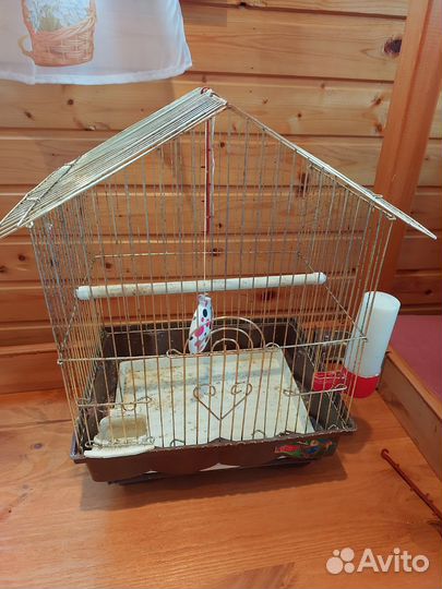 Клетка для попугая