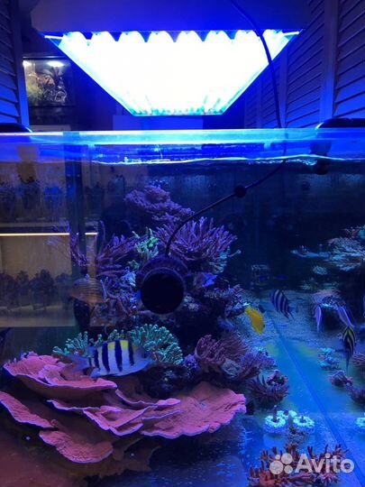 Светильник ддя морского аквариума ATI T-5 8*54W