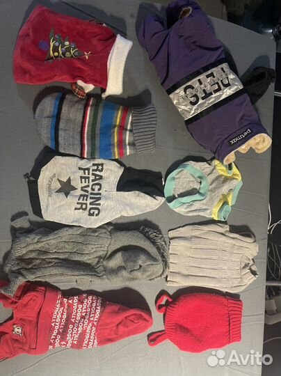 Комбинезон зимний для собак и одежда