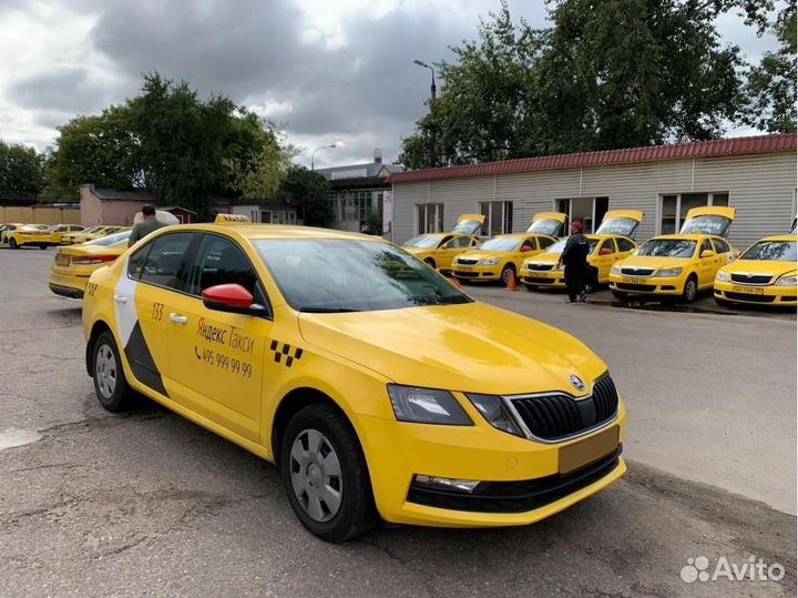 Skoda Octavia 1.6 AT, 2021, 130 034 км