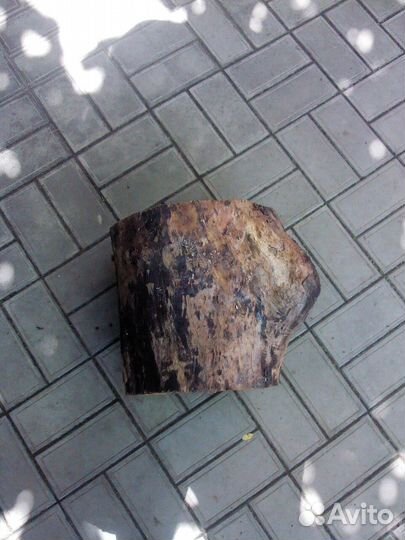 Кашпо из ствола дерева