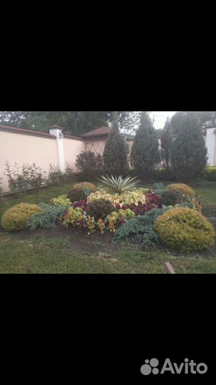 Ландшафтный дизайн сада и любых участков