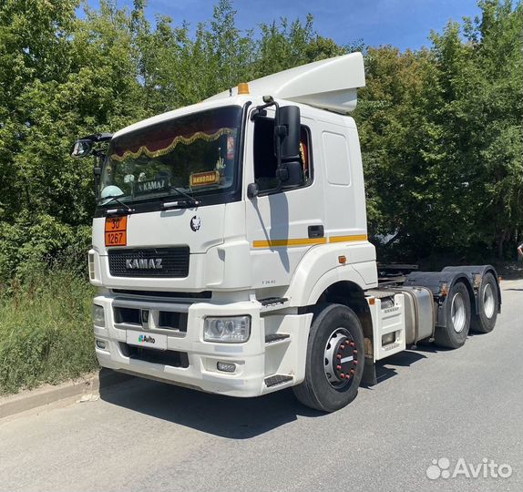 КамАЗ 65206-Т5, 2018
