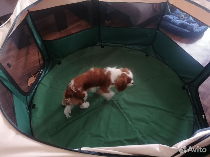 Вольер для собак