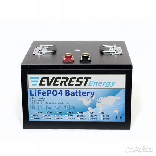 Тяговый аккумулятор everest LFP-24V100Аh