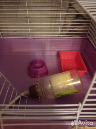 Клетка для грызунов