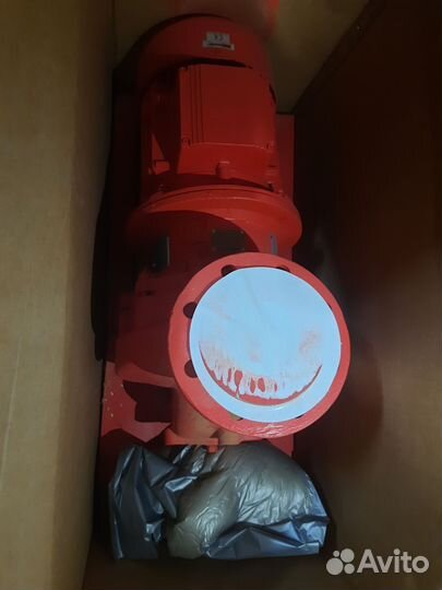 Насос центробежный Etaline 80-250/555