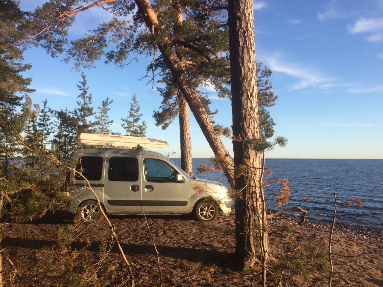 Renault Kangoo: фото владельца