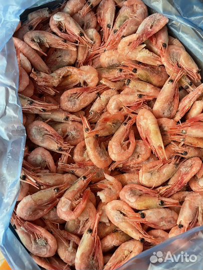 Креветки северные (Гренландия)