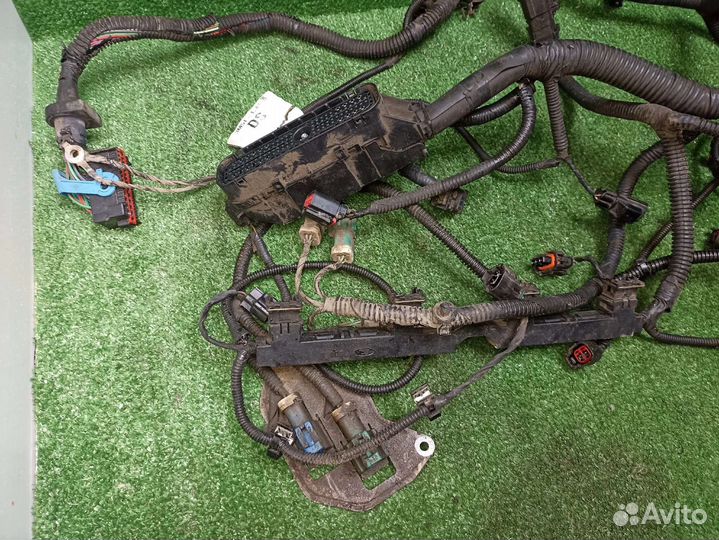 Проводка двигателя Ford Focus 2 1.6