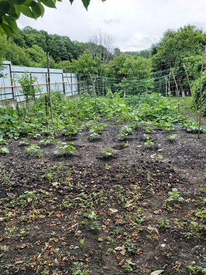 Участок 3,5 сот. (ИЖС)